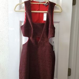 Express size 6 Maroon cut out dress